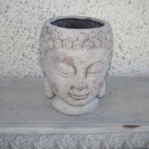 Anum, Budha pea