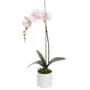 Kunsttaim orhidee potis (1oks; h:60cm)