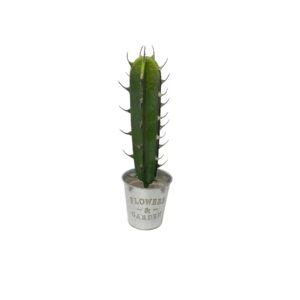 Dekoratsioon kaktus (h35cm)